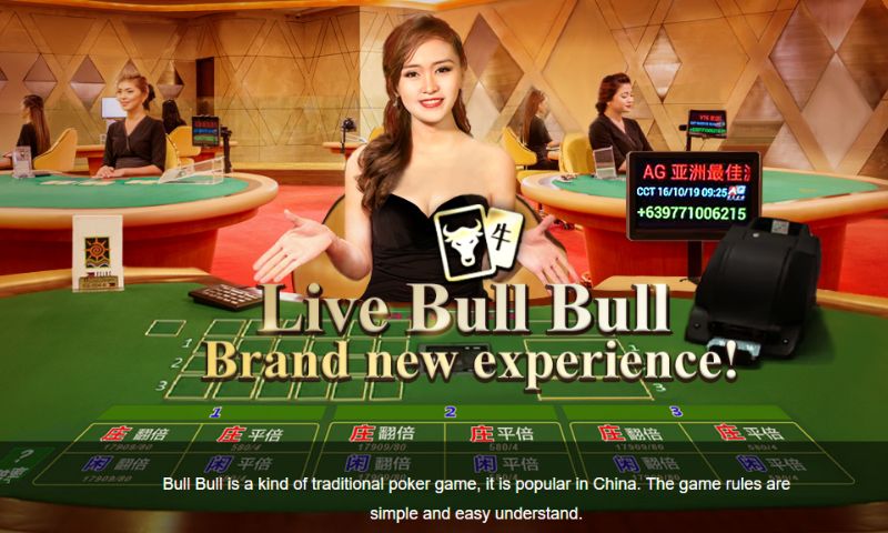 Bull Bull trên live casino